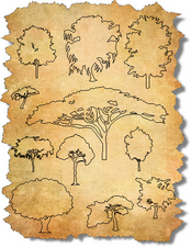CAD Trees in Elevation